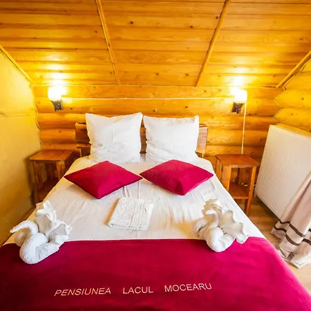 Guest house Pensiunea Lacul Mocearu
