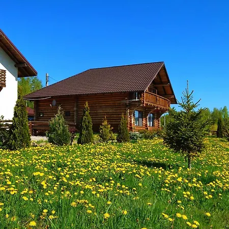 Guest house Pensiunea Lacul Mocearu